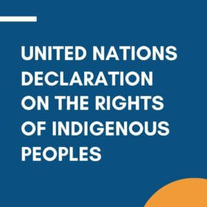 United Nations Declaration of Indigenous People